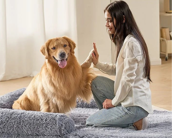 PawLuxe Fold-Away Plush Bed