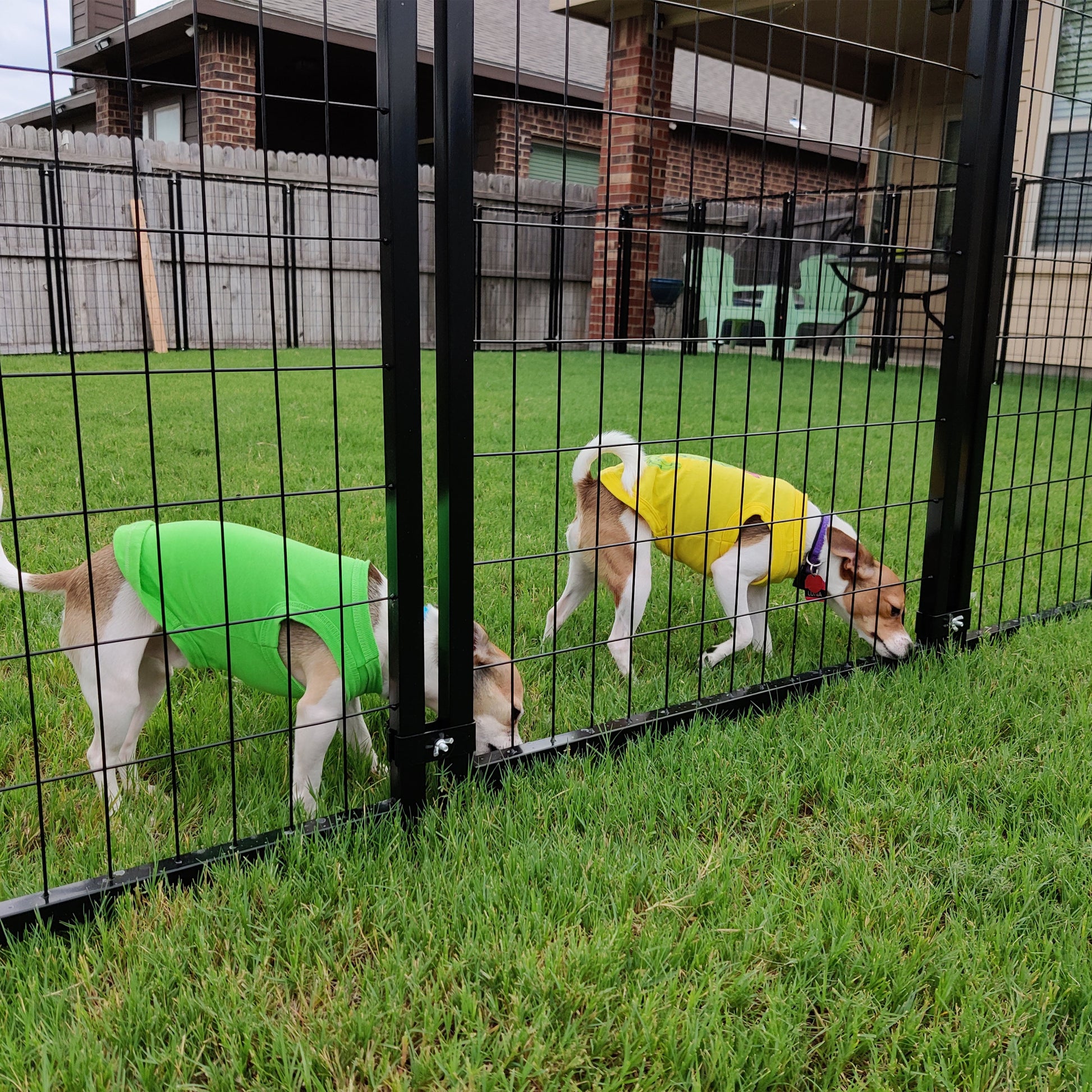 Dog Kennel 5X5X4 Ft Heavy Duty Pet Playpen Dog Exercise Fence
