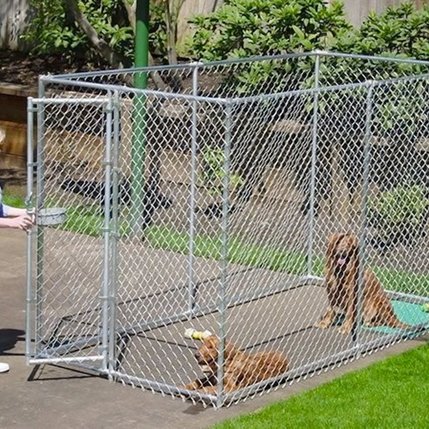 Adjustable 10 X 5 X 6 Heavy Duty Chain Link Dog Kennel Enclosure
