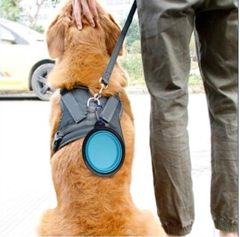 PawPort Collapsible Dog Bowl