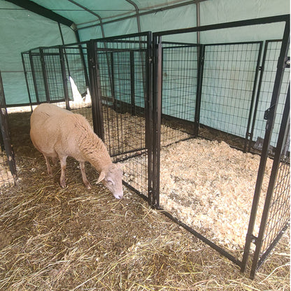 Dog Kennel 5X5X4 Ft Heavy Duty Pet Playpen Dog Exercise Fence